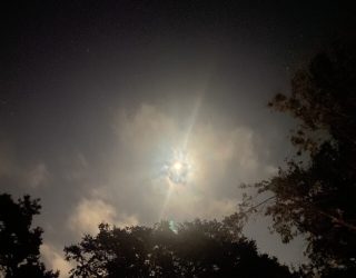 Photography: Night sky